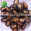 China black seedless watermelon seed