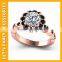 popular design cheap wedding jewelry tungsten ring for women PGRG0053