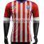 Custom New 2016 Blank Soccer Jersey