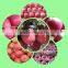 red color crispy fuji apples on sale fresh qinguan apples in cold storage