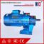 Cycloidal Speed Reducer BWD XWD