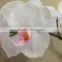 72cm Real touch white butterfly orchid for wedding favors FABRIC FLOWER