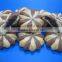 LH2860-11 cake cookie machine with different shape