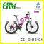 High Quality and Reasonable Price Off Road Ebike for Sale Supplier