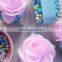 China supplier folding clear pet cupcake boxes