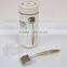 Factory wholesale price ZGTS titanium Derma Roller machine made in China -L006