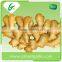 Jining fresh green ginger distributor