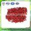 China good quality certified goji berries