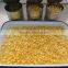 sweet corn for sale in low price