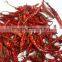 Best Quality Indian Red Chilli Exporters