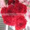 good quality carnation cut flower prices