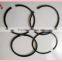 Piston ring used for diesel engine