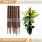 2017 New garden coconut plant support poles