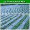 High Quality LDPE White and Black Plastic Mulch Film for Agriculture