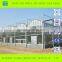 Multi-span Hydroponic Greenhouse