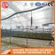 2017 China plastic tunnel greenhouse agriculture made in China