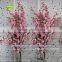 BLS020 GNW cherry blossom tree branches for sale