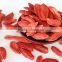 Most Popular Heathy Goji Berry Seeds Wolfberry Rich In Antioxidant Tea