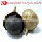 fermented single black garlic boost immune system