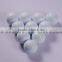 Perfessional miniature Plastic golf ball