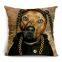 Indoor Pillowcase