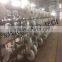 NYLON 6 DRAW TEXTURED YARN 70/24/2 80tpm