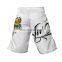 Make Your Own Mma Shorts Wholesale