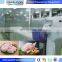 Wholesale fish meat and many other food products iqf tunnel freezer machine