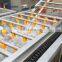 with flat roller conveyor bubble type cheap strawberry washing machine
