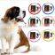 2020 muti-colors  USB rechargeable  LED lighting pet dog collar
