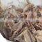 Good quality dried squid