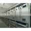 Mesh-Belt continuous Drying machine for Dehydrated vegetables and mango dryer