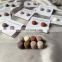 Wholesale Hijab Safety Pin High Quality Candy Color Muslim Hijab Scarf Pin Haute Hijab Non Snag Magnet Pin