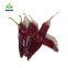 Sweet Chili Paprika Pods Pepper
