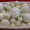 ZIRCONIA BALL MILL GRINDING MEDIA 3MM 6MM 8MM 10MM 13MM