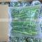 Frozen Green Asparagus with BRC/Kosher/HACCP