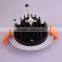 COB DownLight 30W Main in china indoor cob chip led downlight