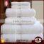 wholesale hot sale soft 100% cotton material hotel towel                        
                                                                                Supplier's Choice