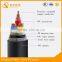 0.6/1kv XLPE insulated PVC sheathed control cable