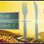 Plastic Spoon biodegradable