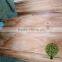HOT SALE ! Burckella Veneer Keruing Veneer for Door Skin Good Price