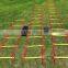 Quick Flat Rung Agility Ladder with carry bag
