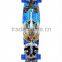 Black peafowl Printed 22 Inch Cruiser Skateboard Long Board skate