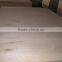 Birch Plywood Phynolic glue E0 1220x2440mm