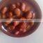 Canned foul medames