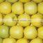 We are supply fresh Golden delicious with best prices for sale