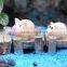 DIY Micro Fairy Garden Accessories Miniature Mini Happy resin pig & many designs for angels statues 24k gold bee figurines