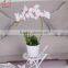 China Cheap Wholeasale Artificial Plant Butterfly Orchid Flower Garden Decoration