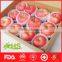 Chinese fresh honey fuji apple market price