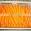 Fresh bulk carrot packing in carton for hot selling
